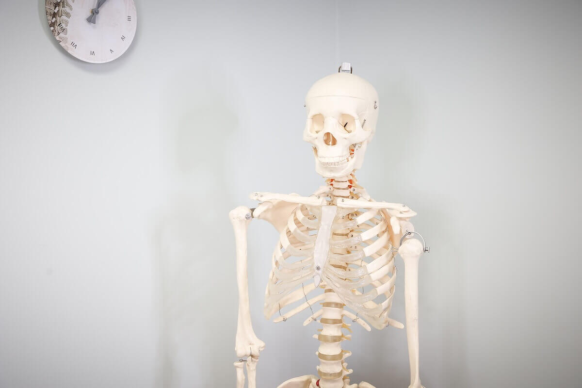 Fibromyalgia Chiropractor Buffalo, NY