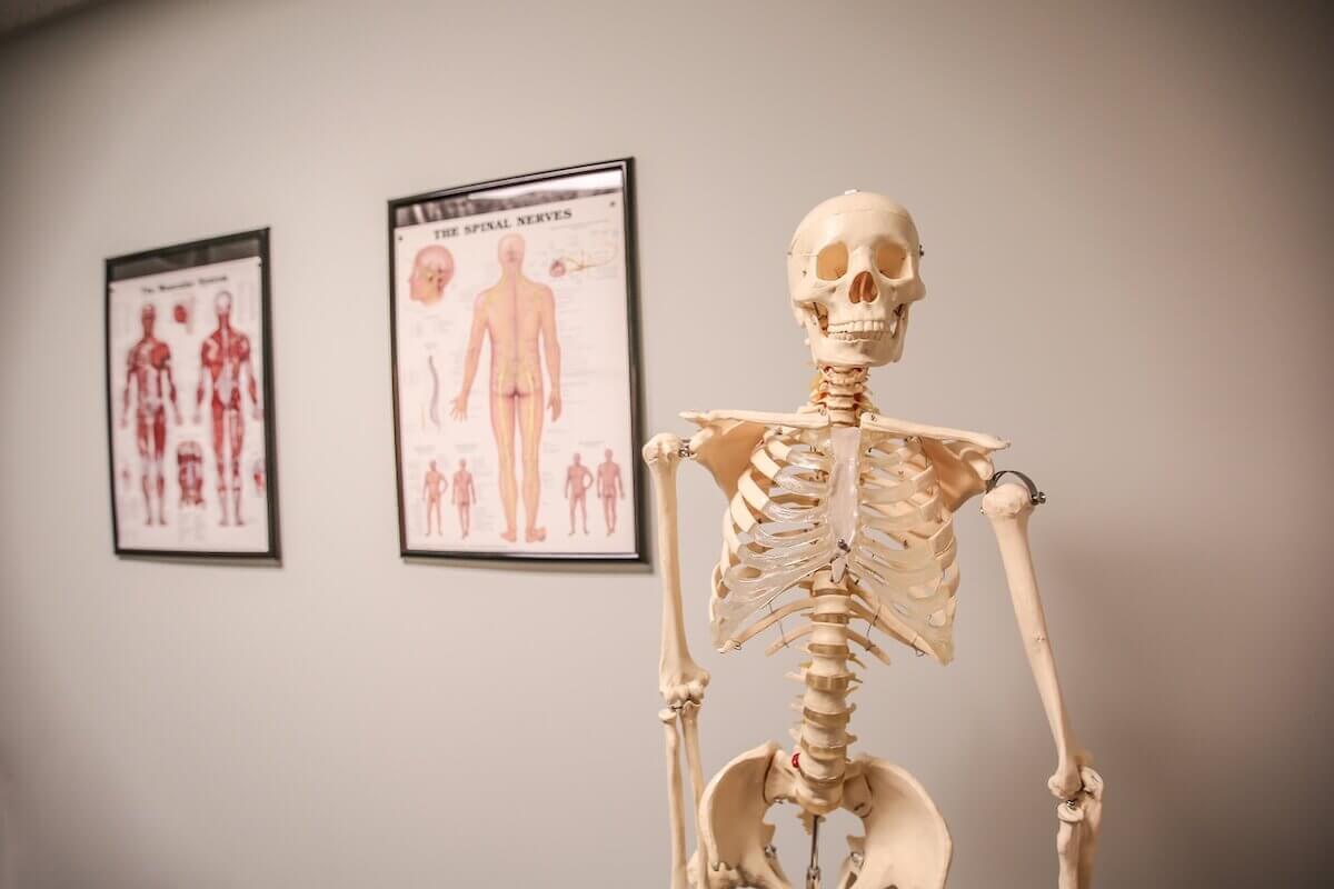 Scoliosis Chiropractor Buffalo, NY